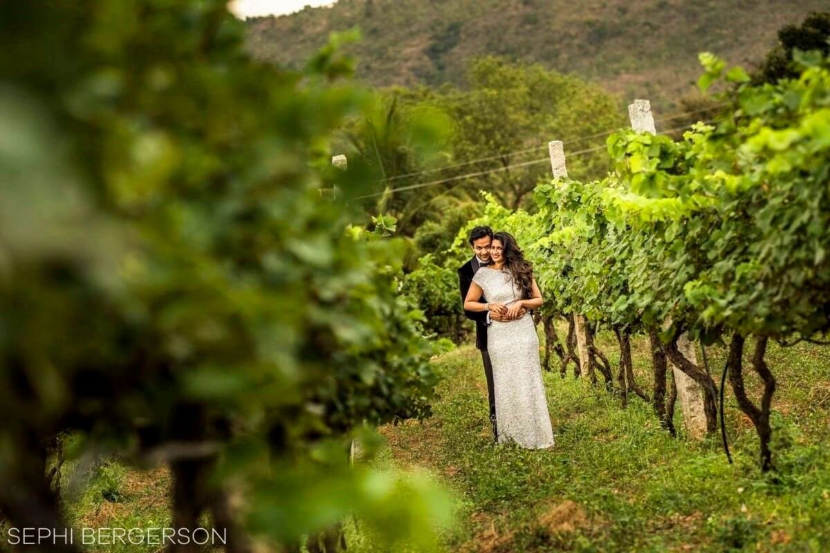 vineyard wedding India